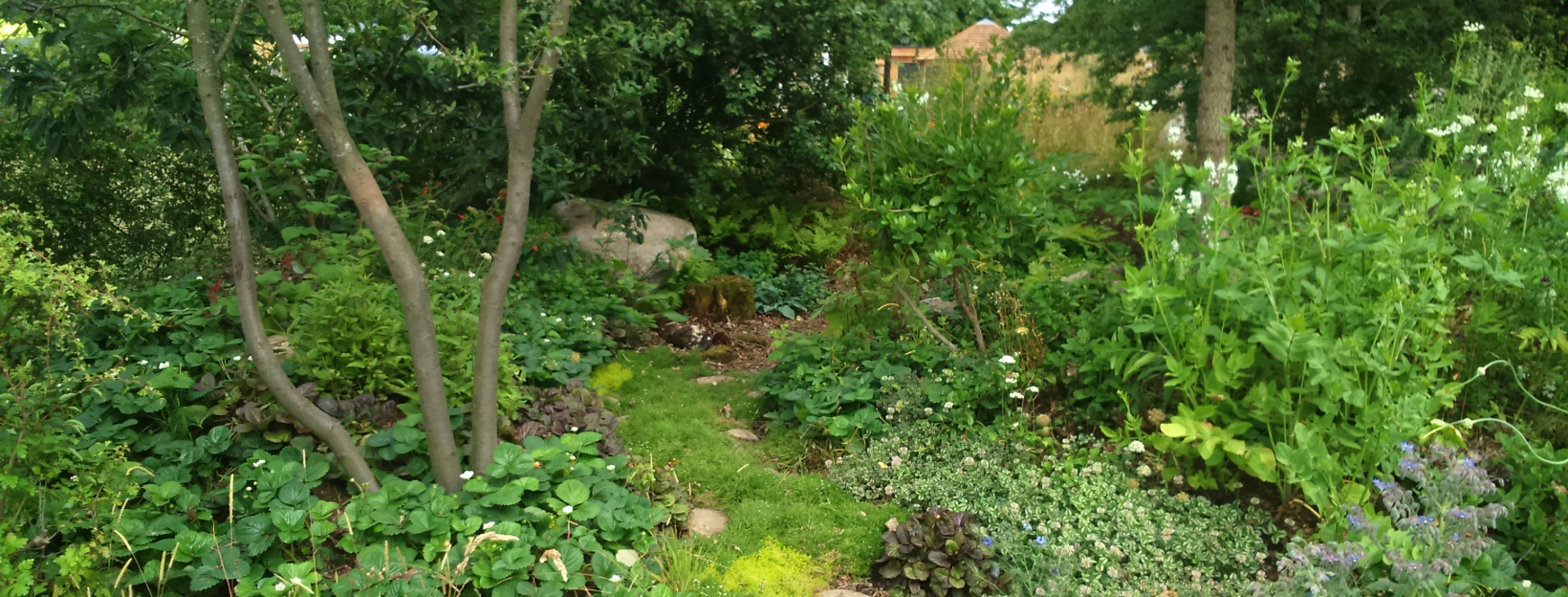 Multifunctional Plants and How to Design with Them