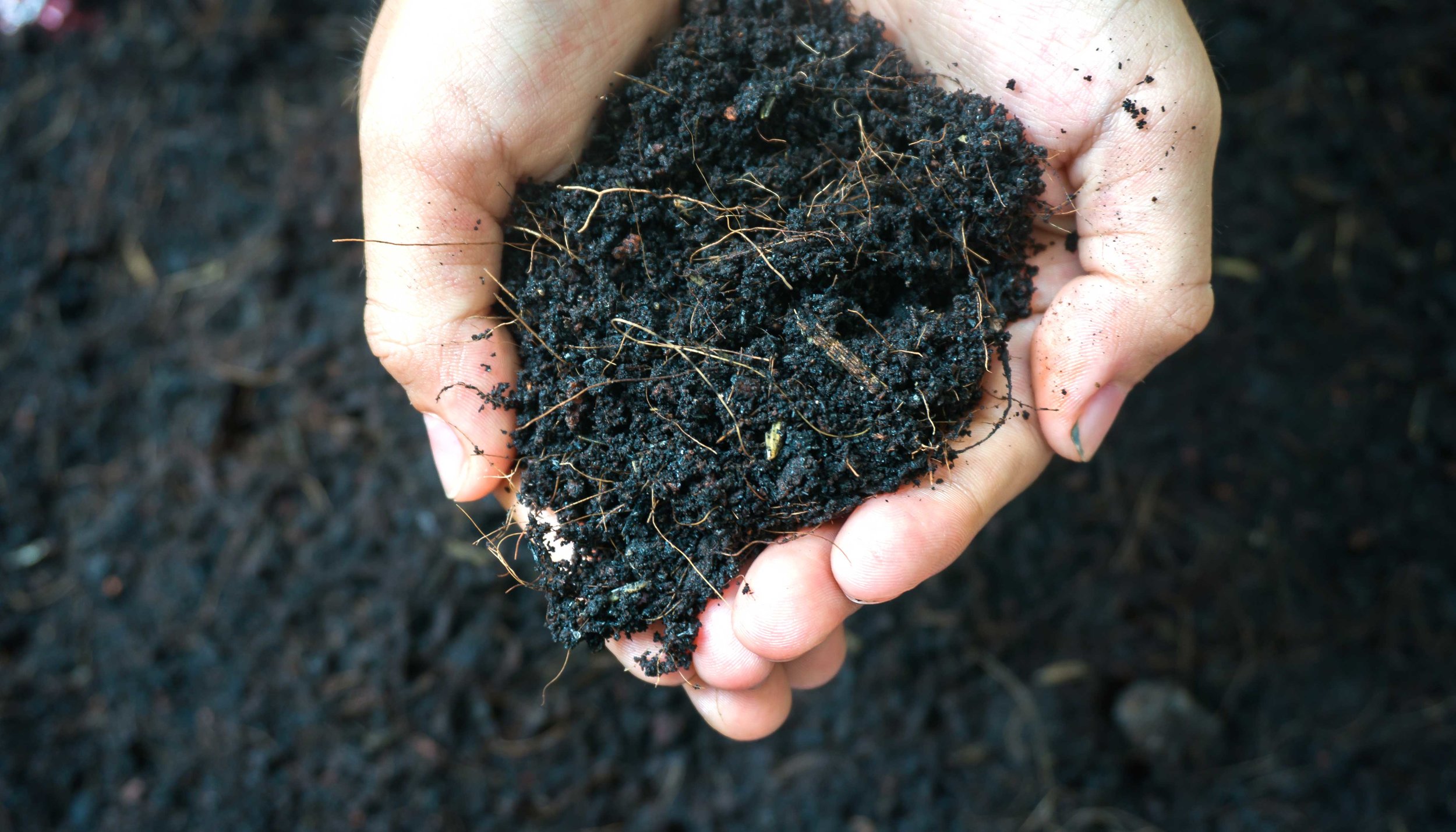 Regenerative Soil Management for Organic Growers