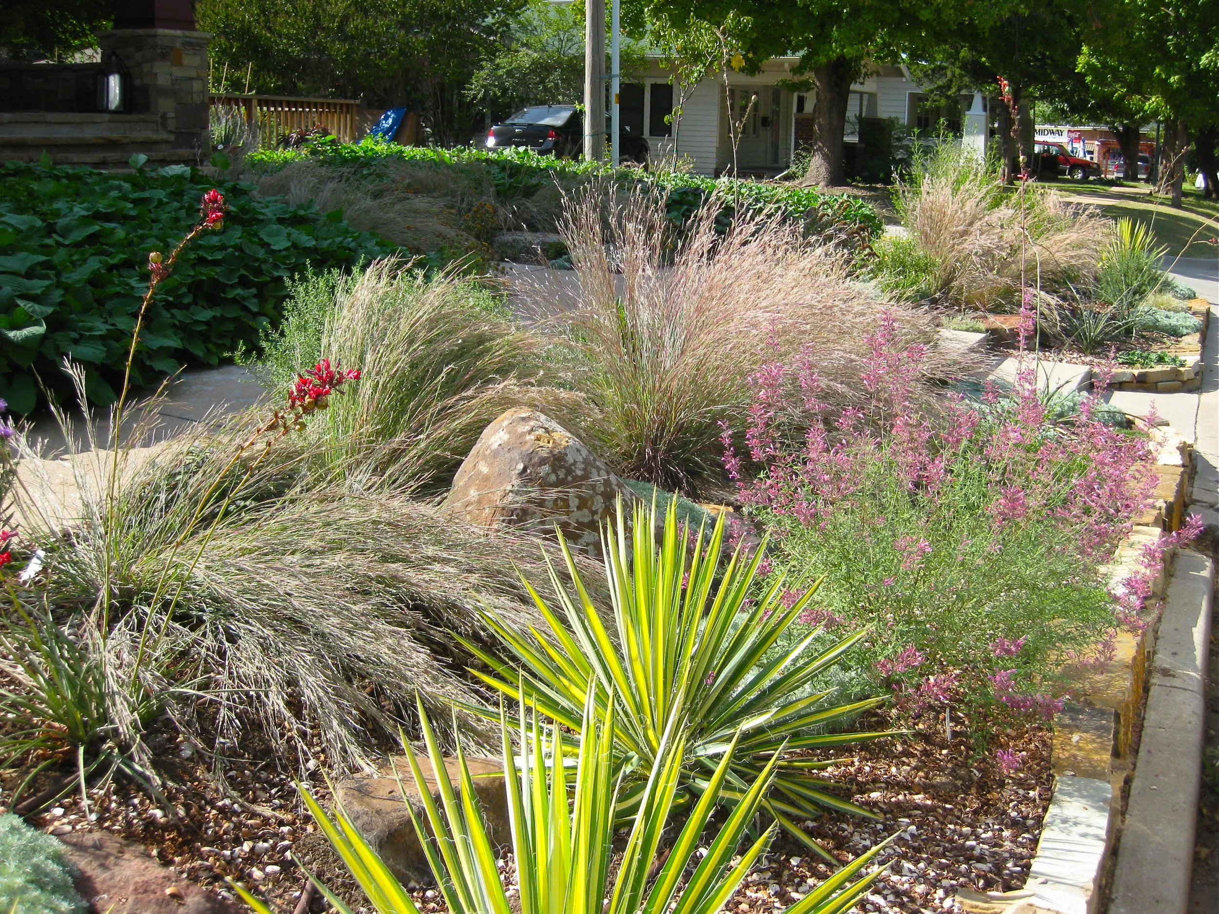 Landscape Design with Native Plants