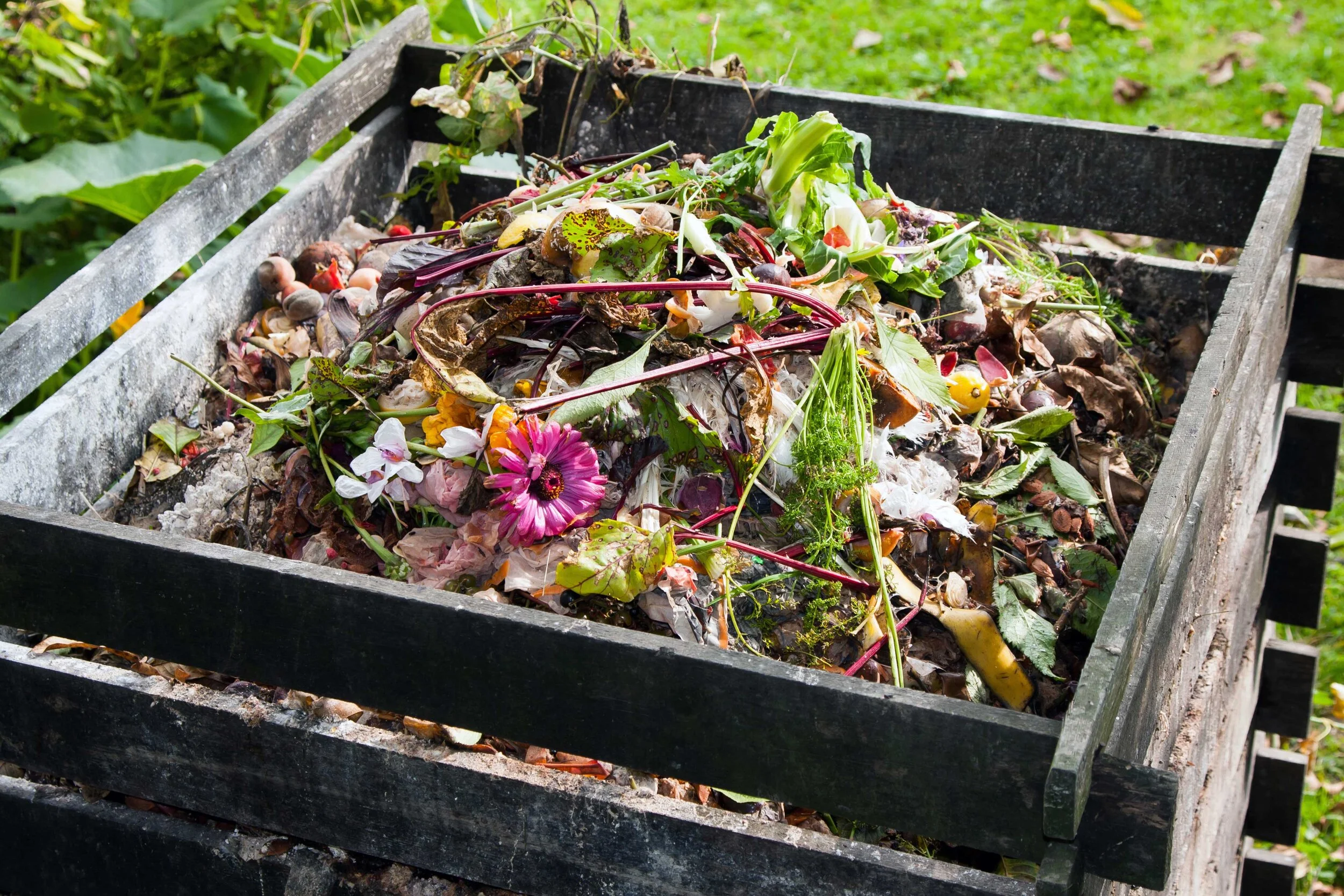 Compost is life!  Compost is fun!