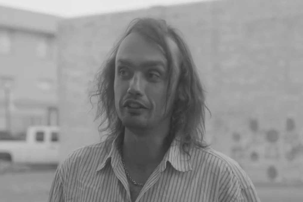 Shaki Tavi