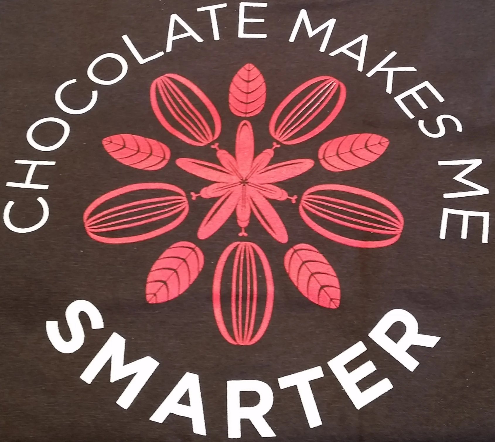 Brown T-Shirt - Smarter.jpg