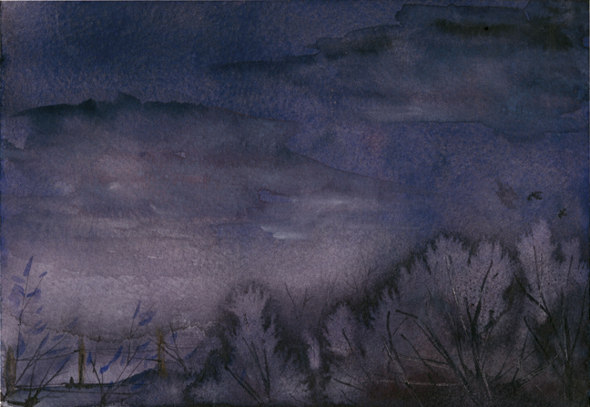 Tree Top Night