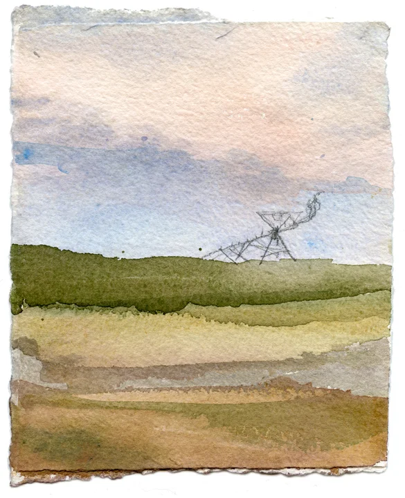 Summer Irrigation