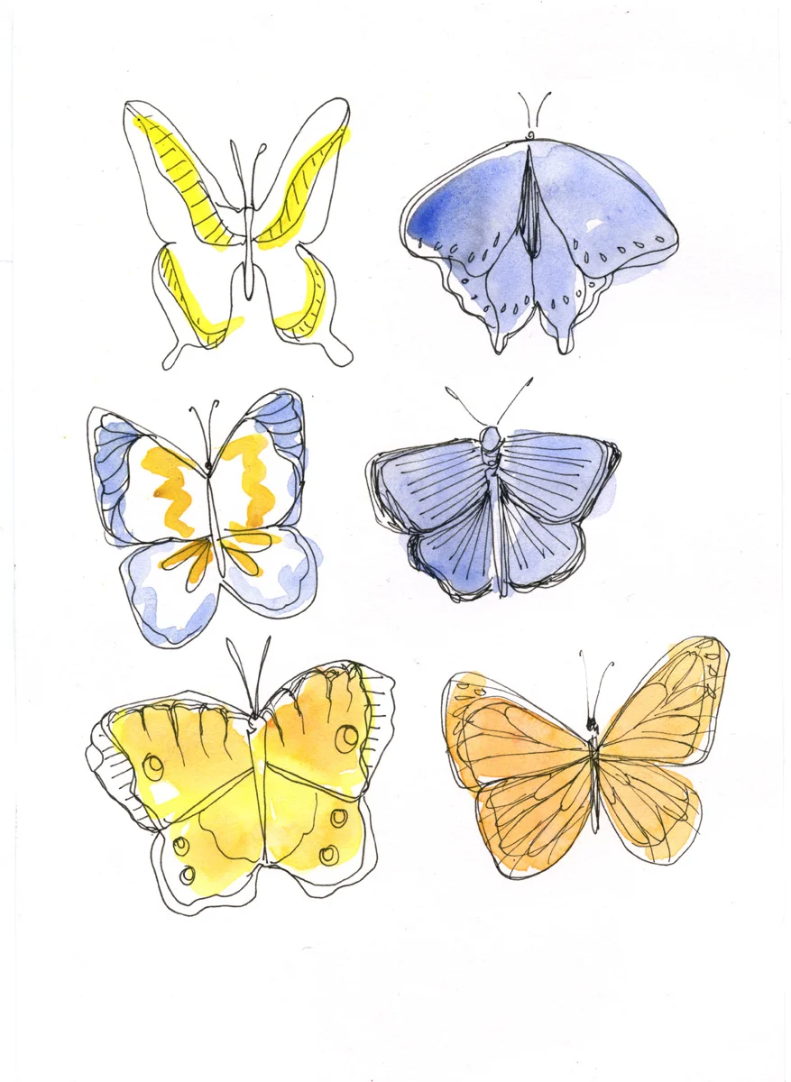 buttefly.jpg