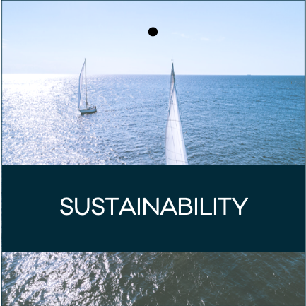 Sustainability in Luxury, Consumer Sentiment and Brand Champions