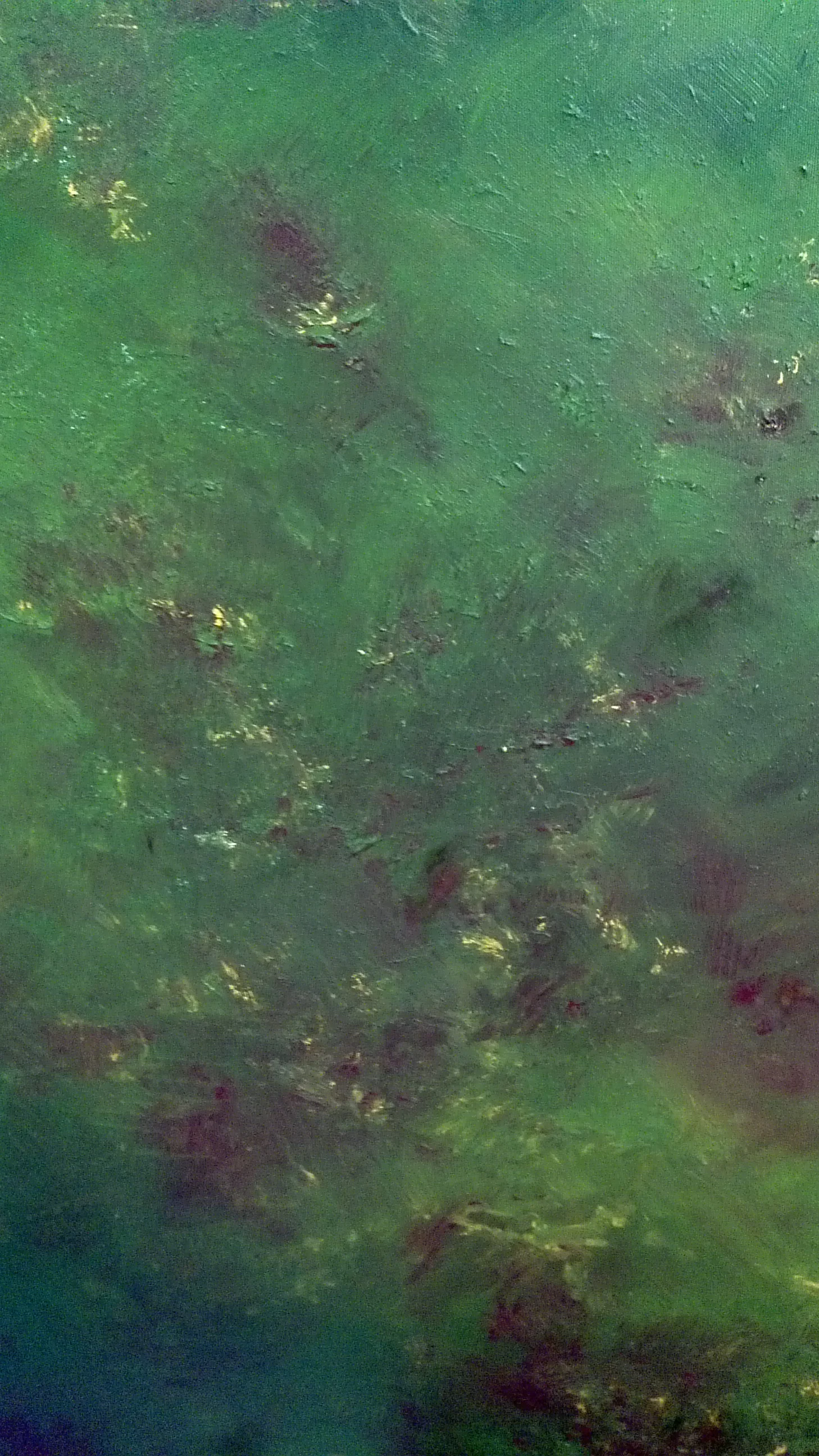 Wet Grass (2009)