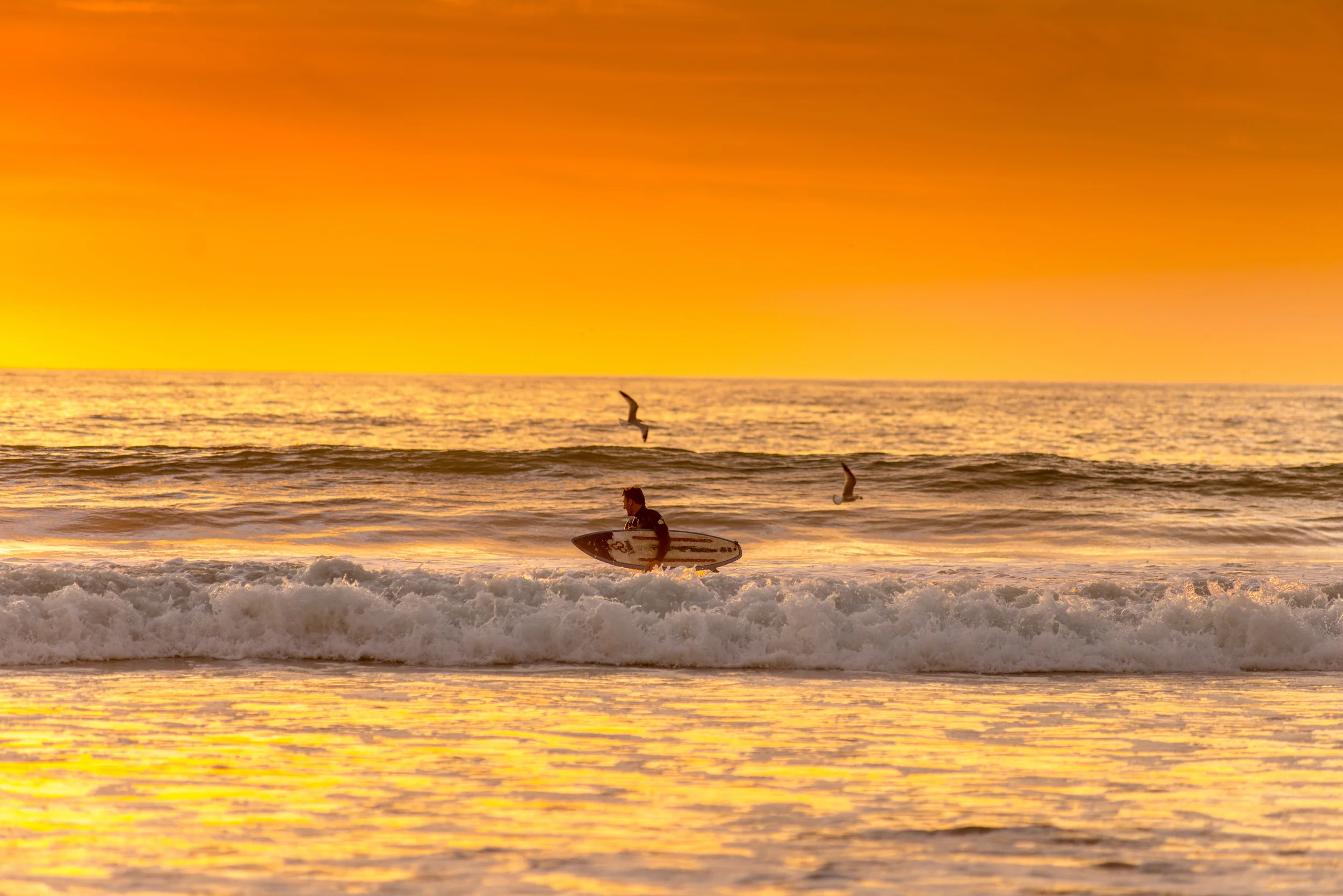 Aisha Singleton_MARINA DEL REY_SURF-4.jpg