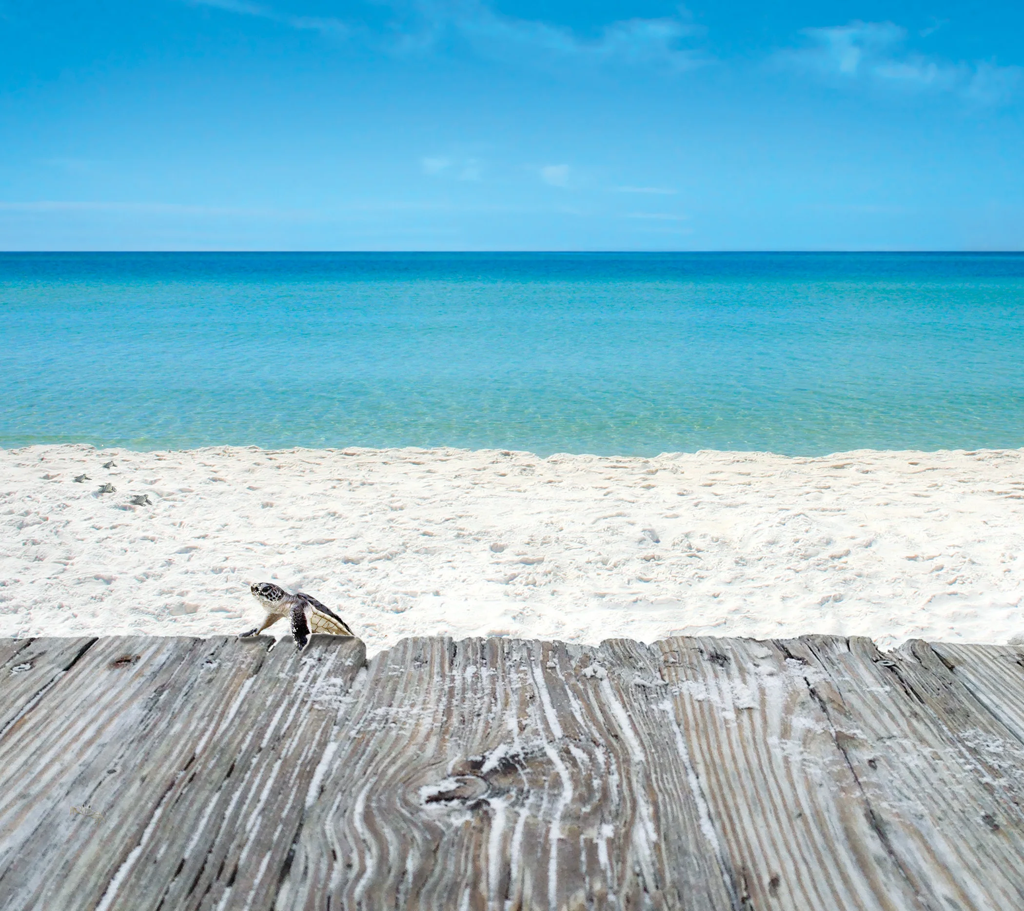 Menu Cover for Web 3.jpg