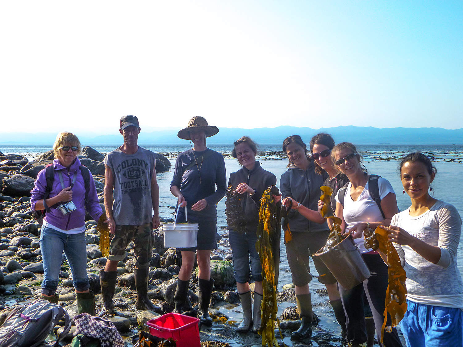  Wild-crafted Seaweed from the Pacific Northwest   