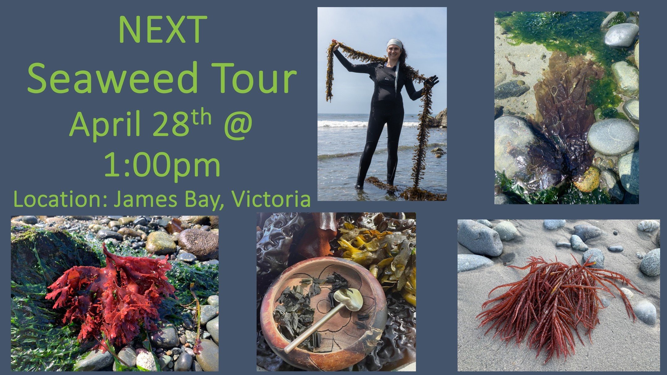 There are still some spots available for this Sunday's Seaweed Tour and I would love to see you! Come down to the beach, learn about the amazing nutritional and health properties of so many of our local seaweeds and taste local varieties not availabl