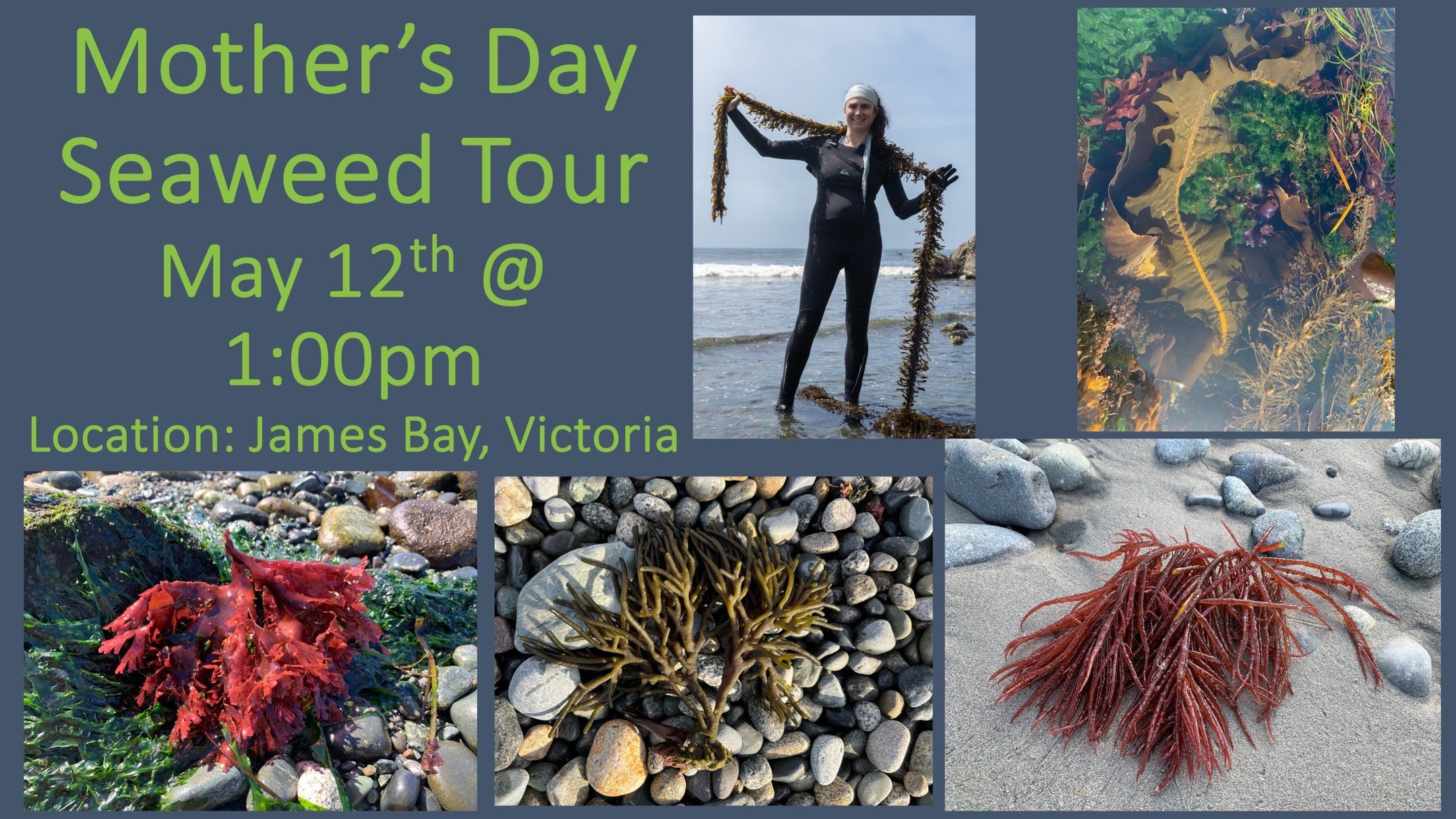 Over the years I have had many mother-daughter duos attend my seaweed classes. It is a special way to spend time together and a gift that can become a treasured memory. Seaweed, like moms, help protect and nourish people and the planet:) I would love