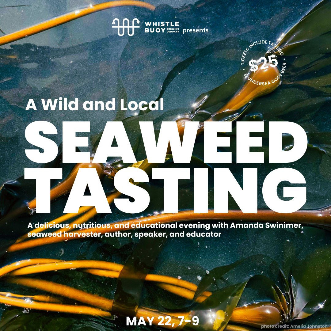 I am so looking forward to this event, May 22nd, @whistlebuoybrewing! We have collaborated since their early days with their well-loved Undersea Gose that contains my locally wild-harvested bull kelp. 

Come spend an evening at their taproom in Marke