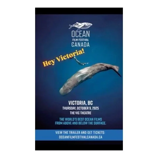 🌊💙🌊Hey Victoria people! Do you LOVE the ocean? 

🐬🐬🐬🐬I have 4 tickets to give away to two lucky people for the Ocean Film Festival in Victoria! 

🦈When: Oct. 9th at 7:30pm
🐳Where: Vic Theatre 

🐠💙In the comments, tell me how the ocean has 