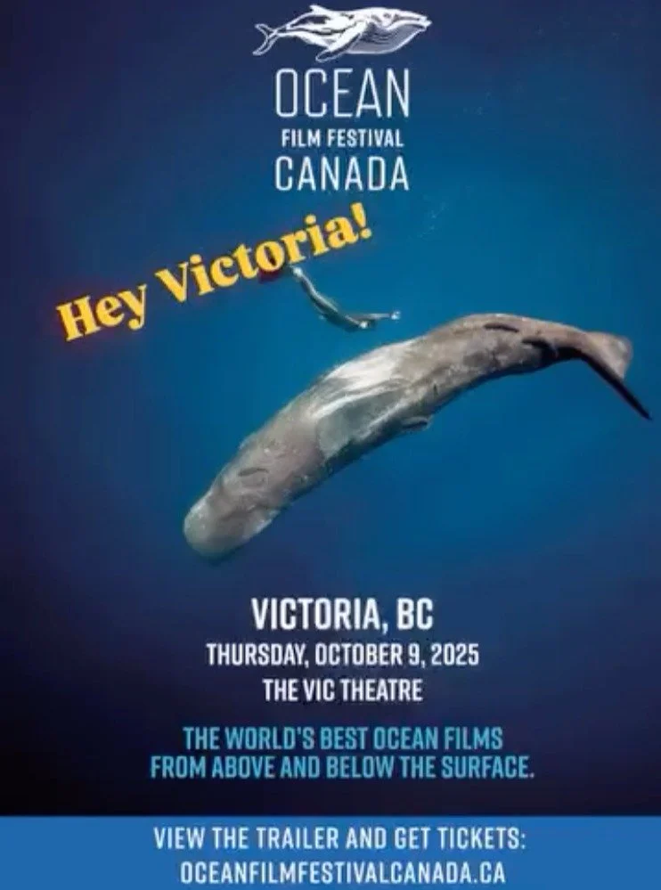Attention ocean lovers in Victoria! 🐬

One more day to win one of two pairs of tickets I have to give away to two ocean-loving people for the Ocean Film Festival in Victoria!! 🌊💙🌊

For your chance to win, share one way the ocean has inspired a de