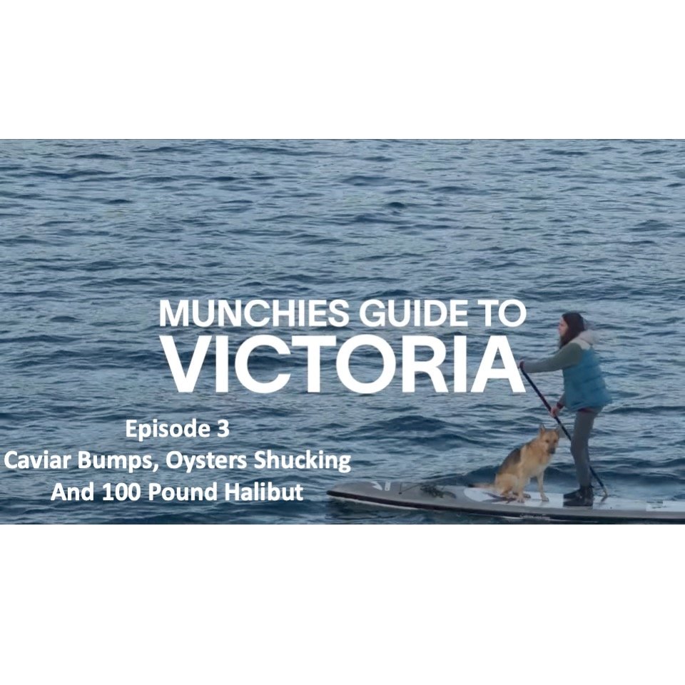 The final episode of Munchies Guide to Victoria is out! I spend time at Finest At Sea ( @finestatseavic ), the place where you will find the freshest and most beautiful seafood in Victoria, and whose values of sustainability, quality and of "hon