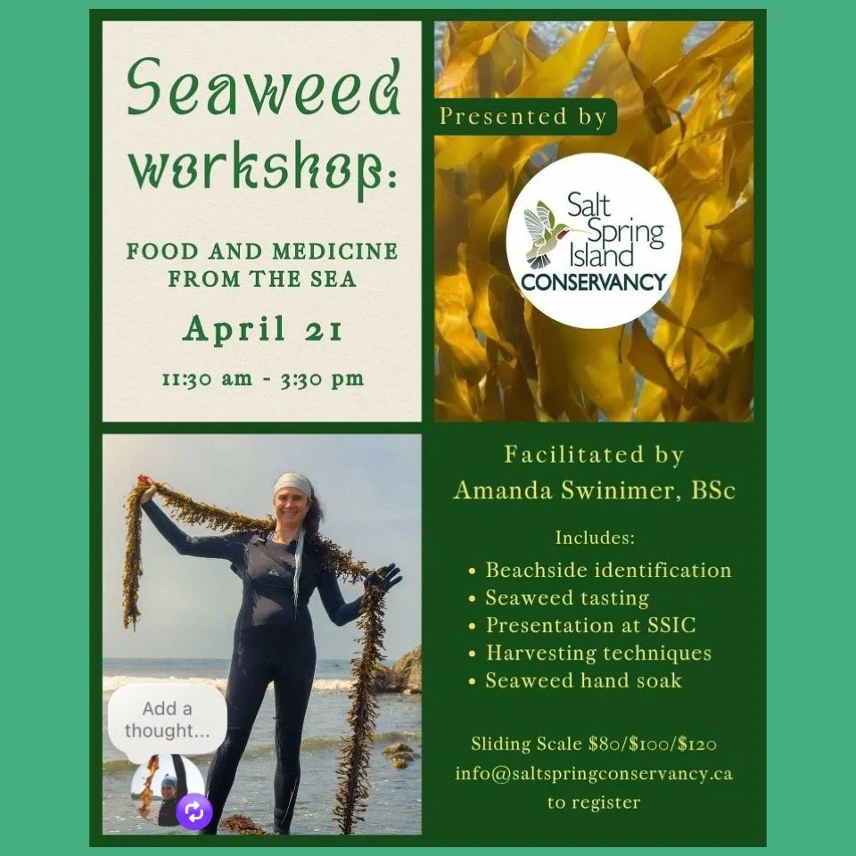 I'm looking forward to teaching a workshop and exploring the low tide on Salt Spring Island on April 21st.