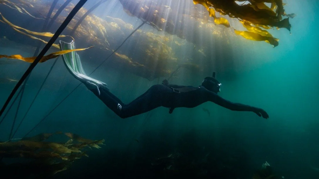 Love her deeply 💙
Protect her fiercely ❤️
Happy Earth Day 🌎

I'm so grateful to call this planet my home (and that most of it is ocean 😉 🌊 )

Photo credit @adairc