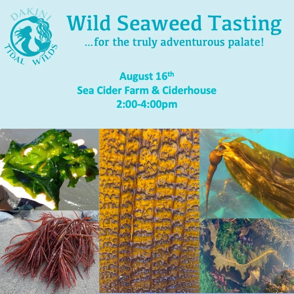 🌊**💚Special event alert for curious foodies, nature lovers and those looking to connect with the ocean in an entirely new way. 💚**🌊

💚🐚 As part of the @flavourtrails festival weekend, Dakini Tidal Wilds will be offering a guided, wild-seaweed t