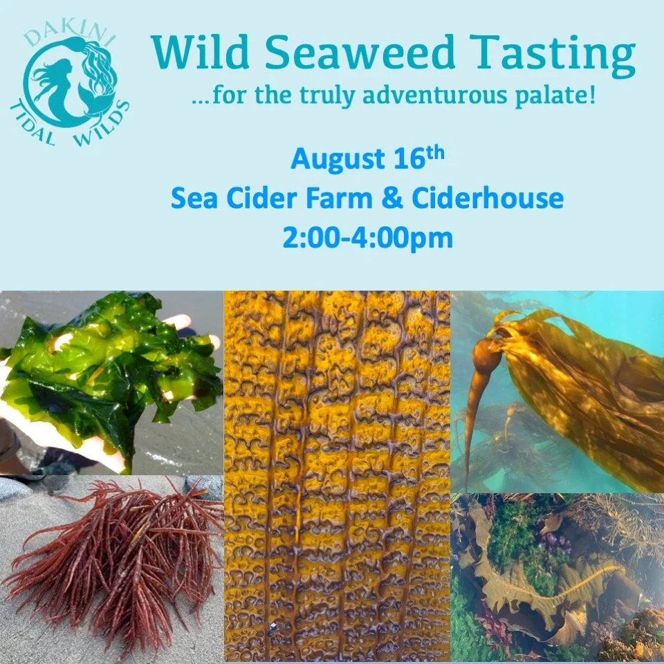 🌊**💚Special event alert for curious foodies, nature lovers and those looking to connect with the ocean in an entirely new way. 💚**🌊

💚🐚 As part of the @flavourtrails festival weekend, Dakini Tidal Wilds will be offering a guided, wild-seaweed t