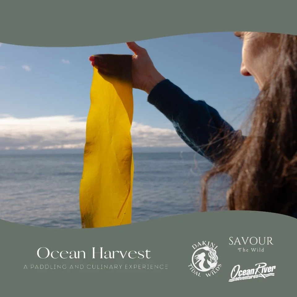 🌊We&rsquo;re bringing together kayaking, seaweed and an extraordinary outdoor dinner for a truly unique Vancouver Island experience.

Join Ocean River Sports @oceanriversports, Dakini Tidal Wilds and Savour the Wild @savourthewild with Chef Colton A