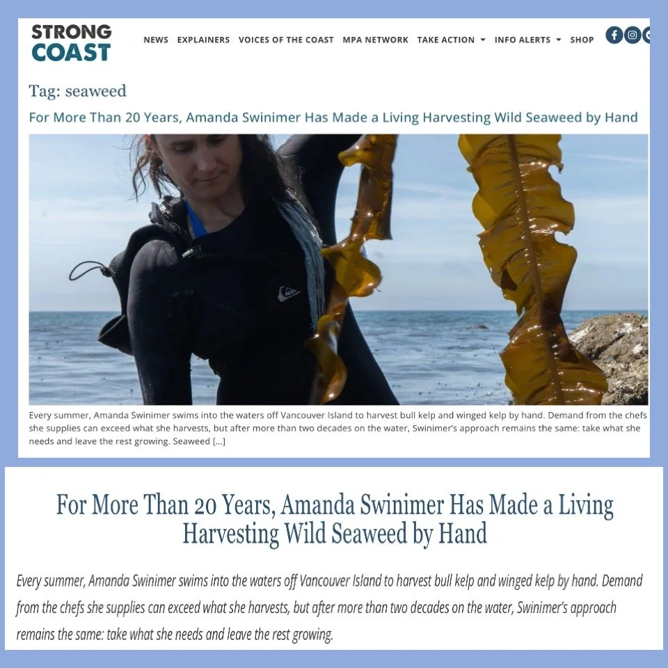 Thank you to @strongcoastca for sharing this story about my life and work harvesting wild seaweed off Vancouver Island&rsquo;s west coast.

After more than two decades of spending my summers in the ocean among the seaweeds, I still feel deeply fortun