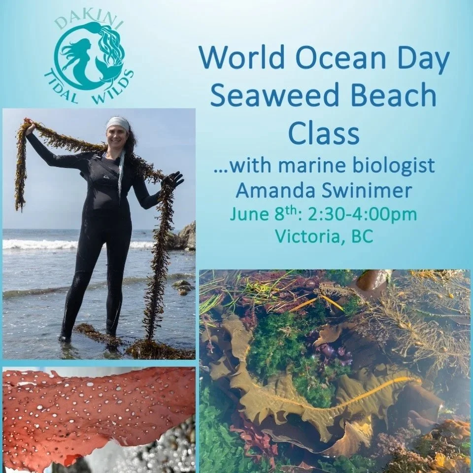 Free Seaweed TOUR world ocean day.jpg