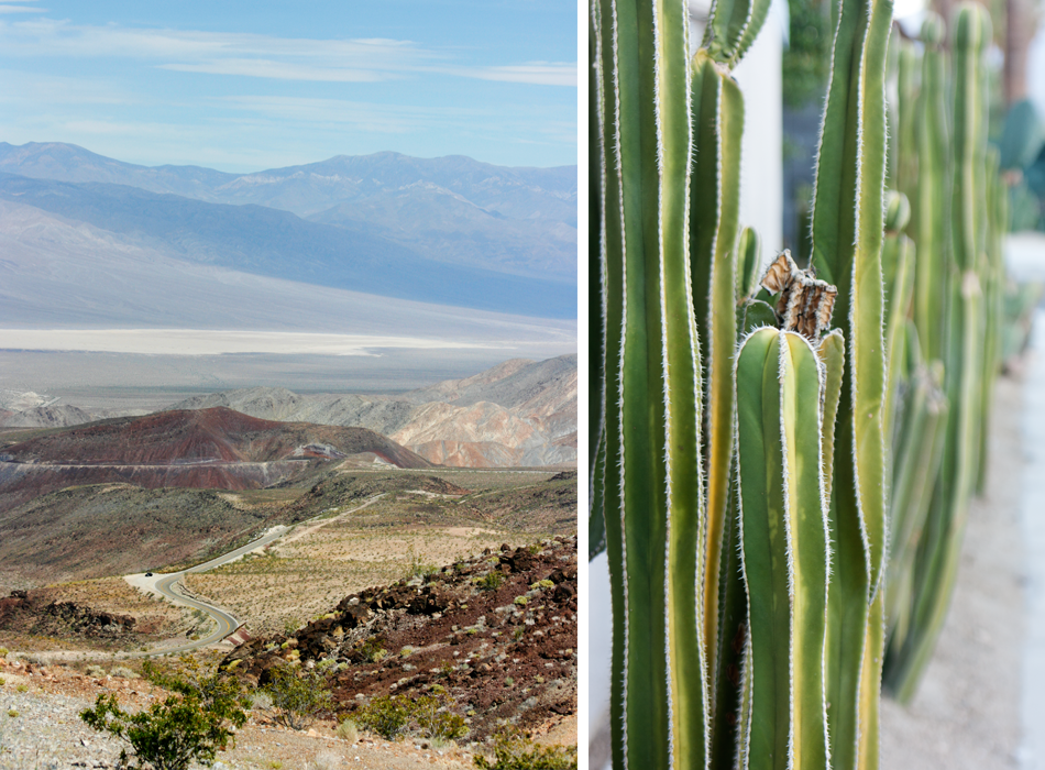 The descent into the valley; cacti in Palm Springs