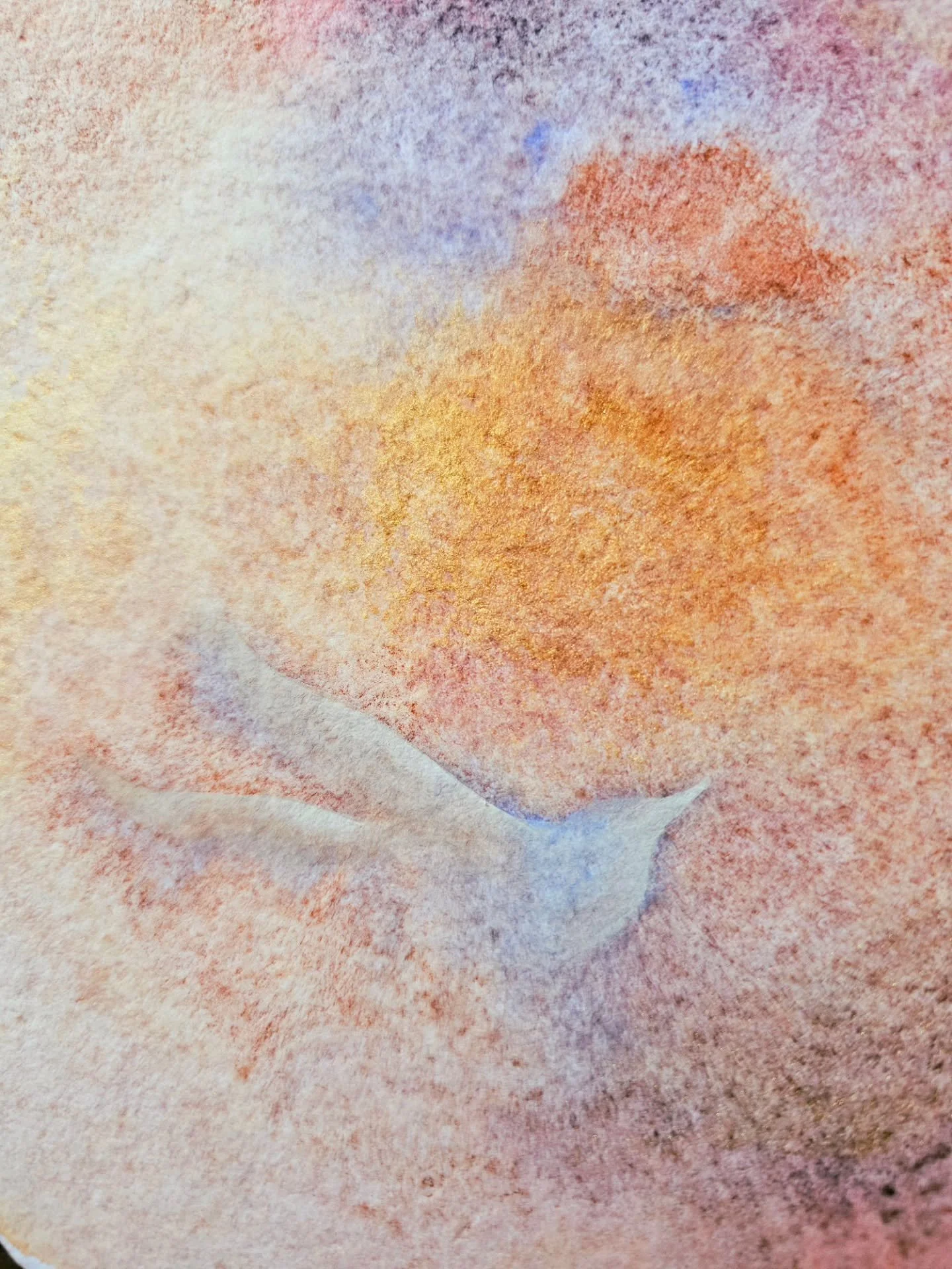 Just a bird 🕊️✨

#watercolorbirds #watercolorpainting