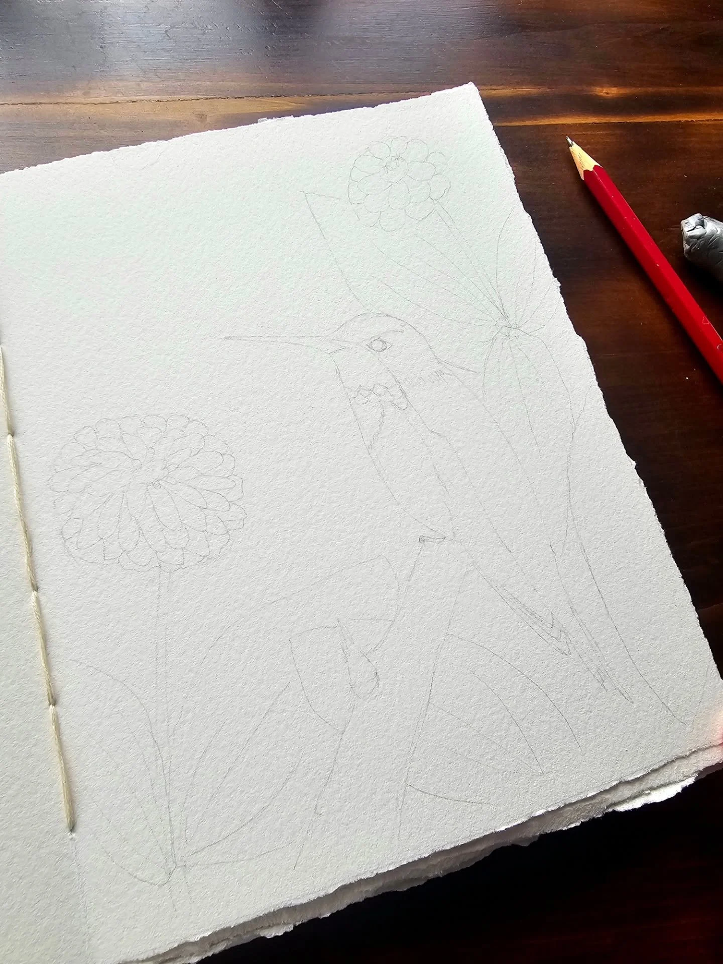 A very light pencil sketch as the first layer for a watercolor painting. Pencil shows through the paint very easily because watercolor is most often transparent. So I don't like to put too much detail, and I will mostly erase this before I put the pa