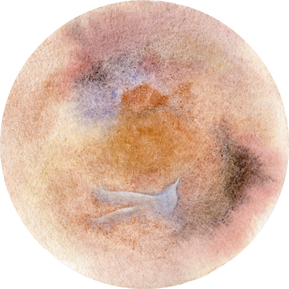 Christi_Pier_BirdMoon.png
