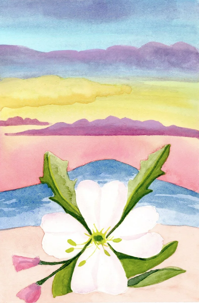 Christi Pier Lumino Watercolor Paintings New Mexico Artist