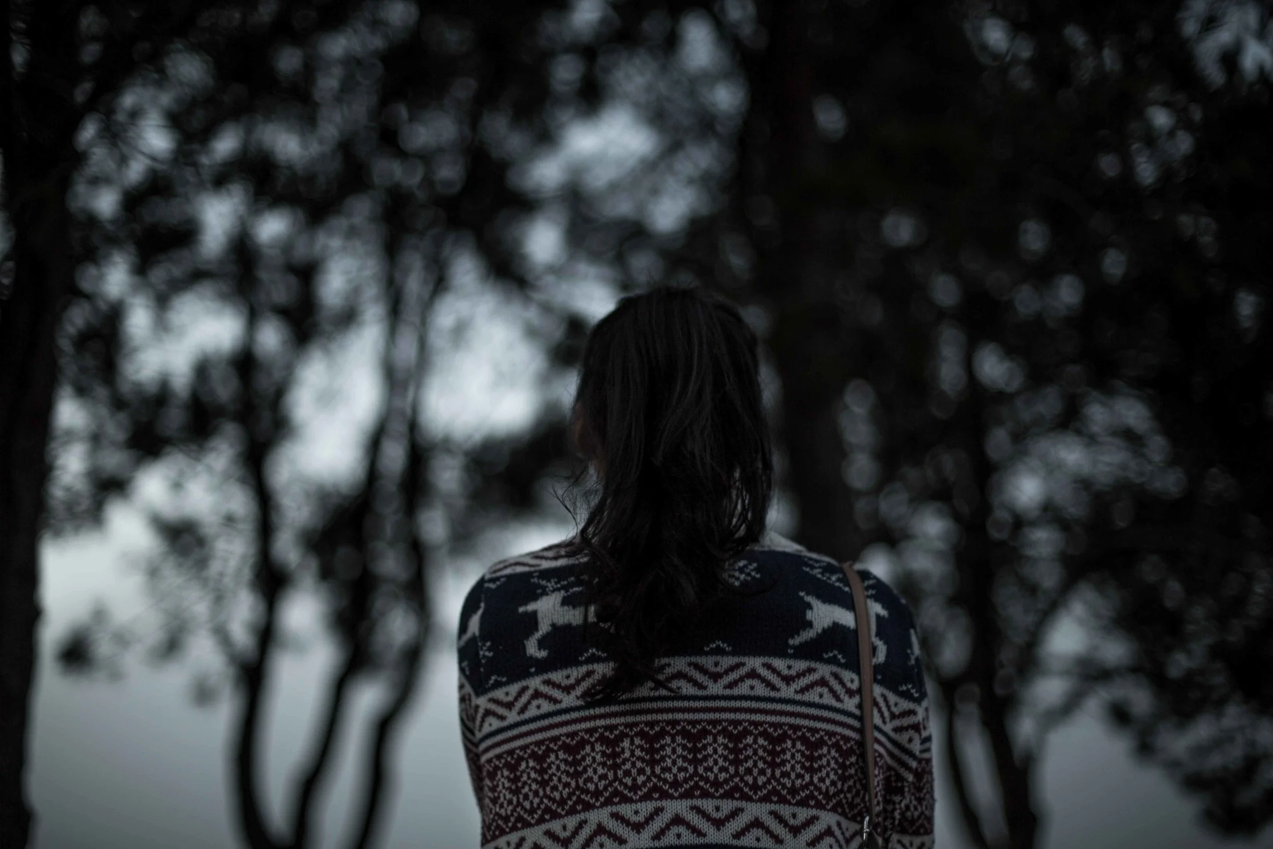 _C0A5416-2.jpg