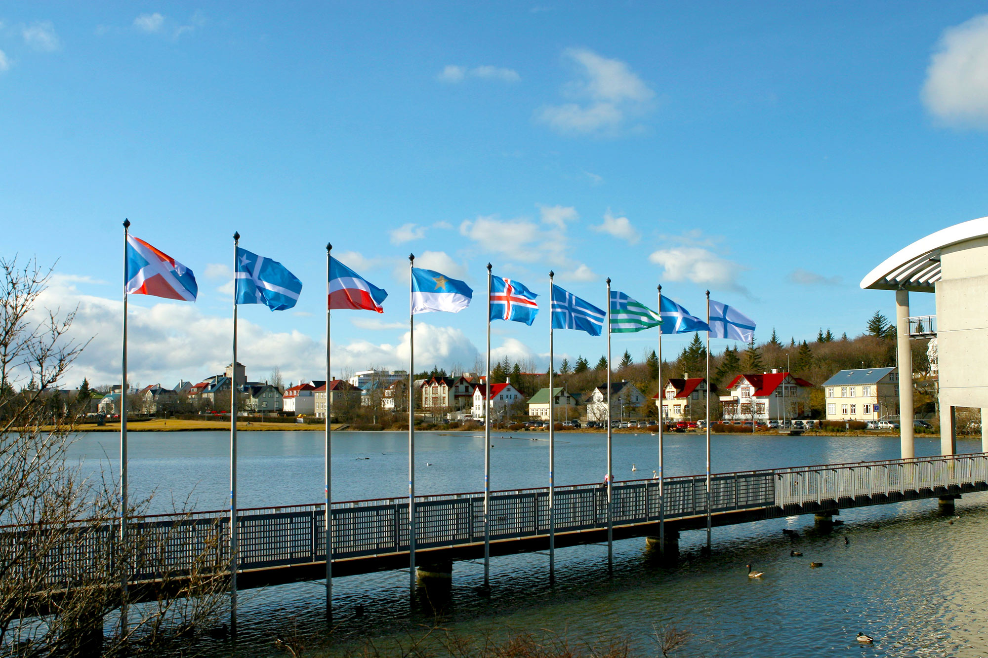 Find a flag