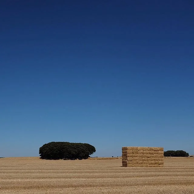 Abstrakt hey-list #brandenbike #buencamino