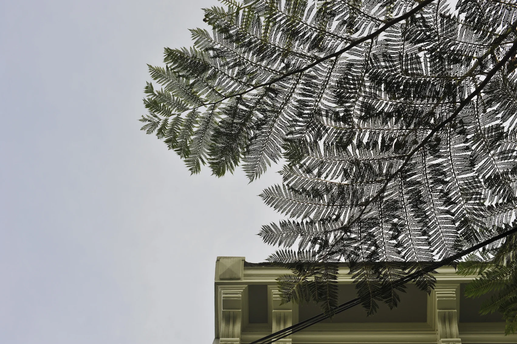 San Francisco, mon amour, 2016