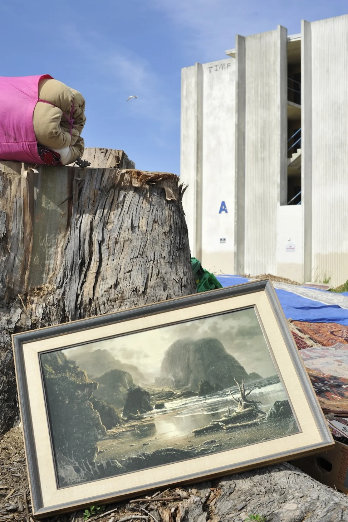 Join the navy II, 2016