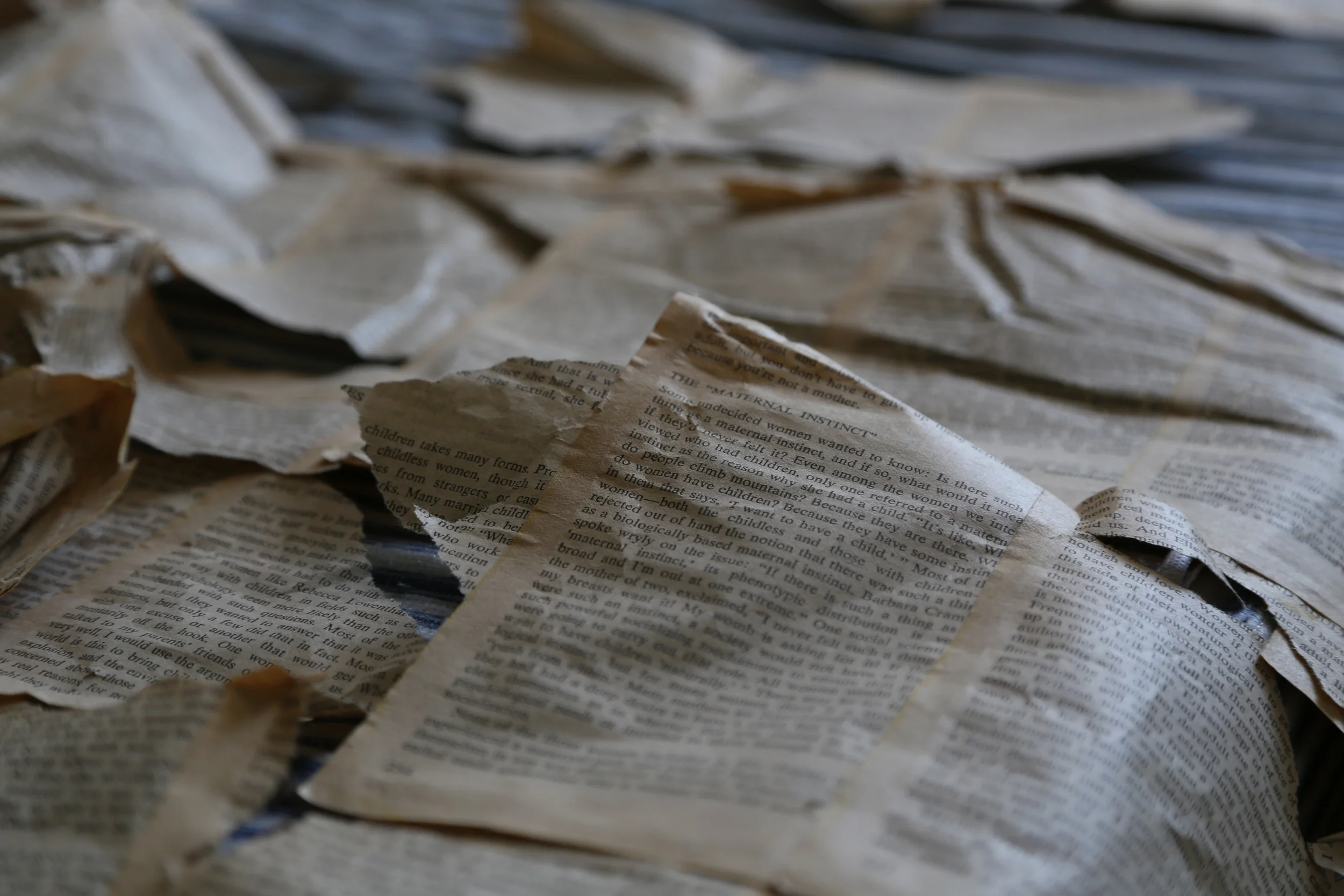 Fertility Bed #2 (detail), installation, 2014 