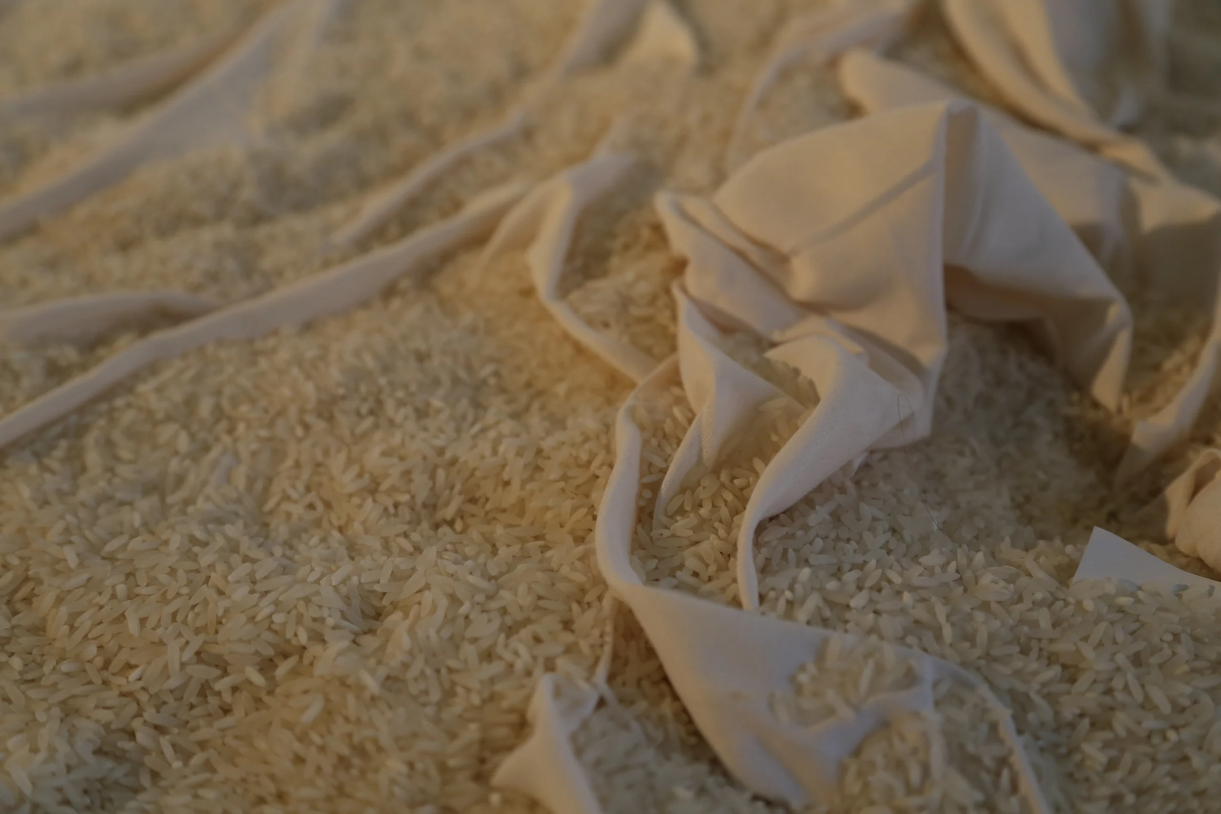 Fertility Bed #1 (detail), installation, 2014 