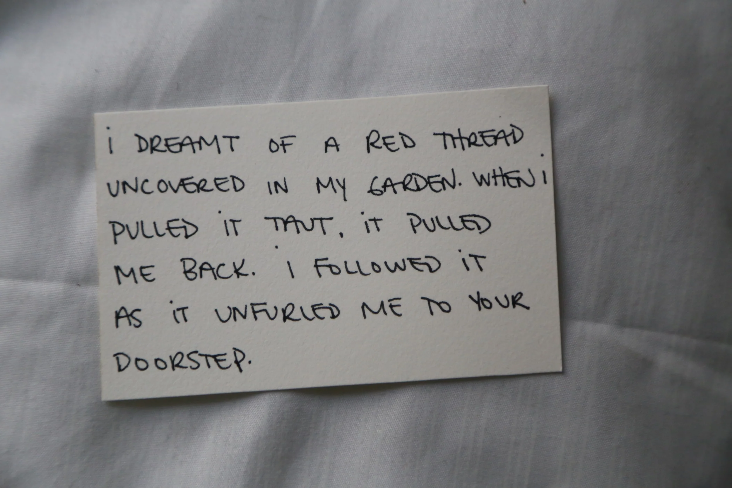 Pillow Talk (The Pillow Library), Installation, 2014