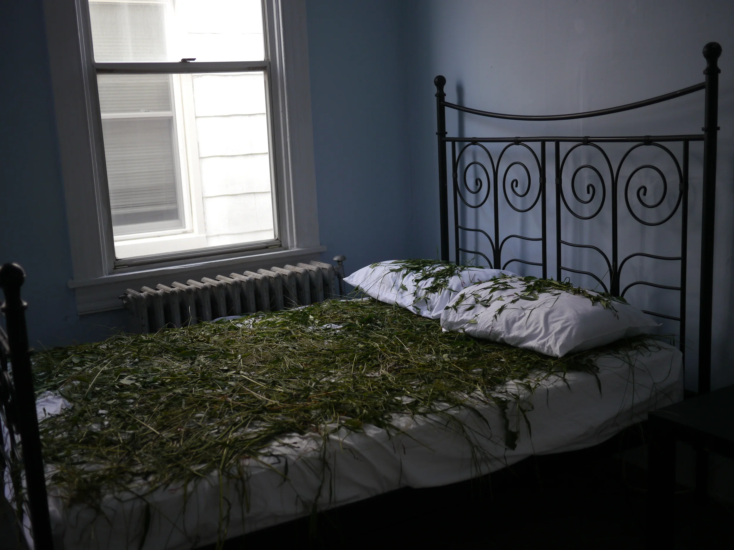 Fertility Bed #4, Installation, 2015