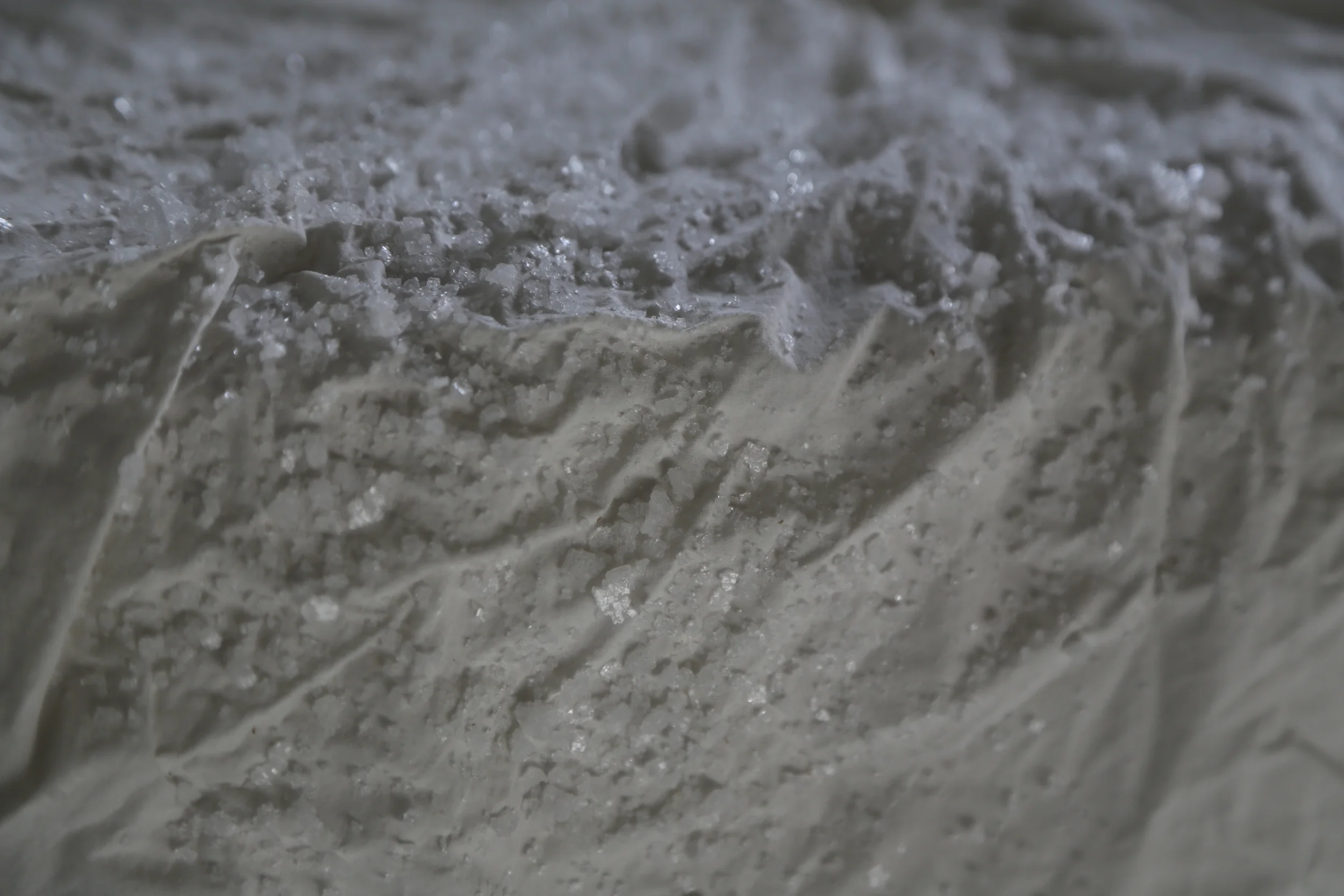 Fertility Bed #5, installation detail, 2015