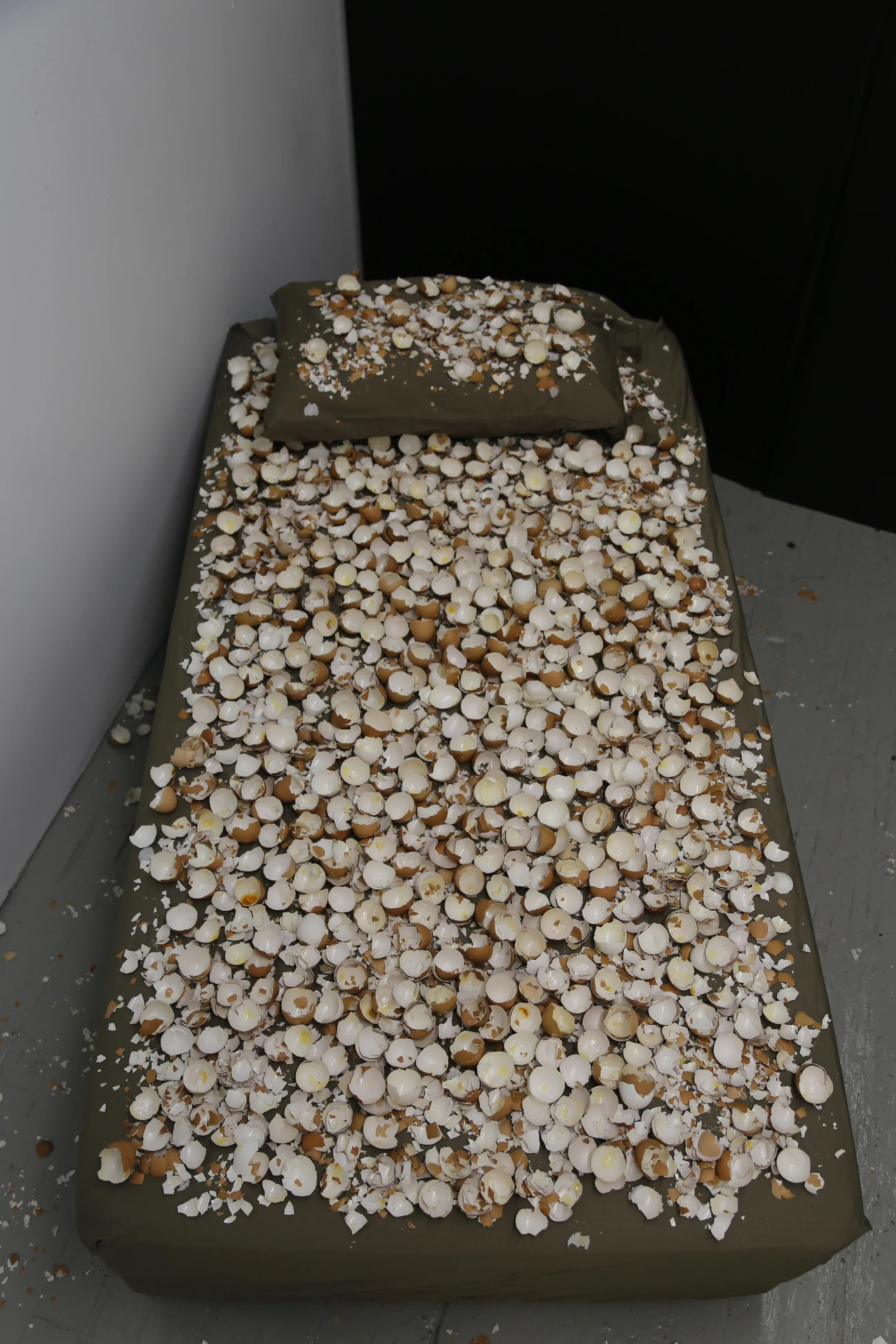 Fertility Bed #3, installation, 2015