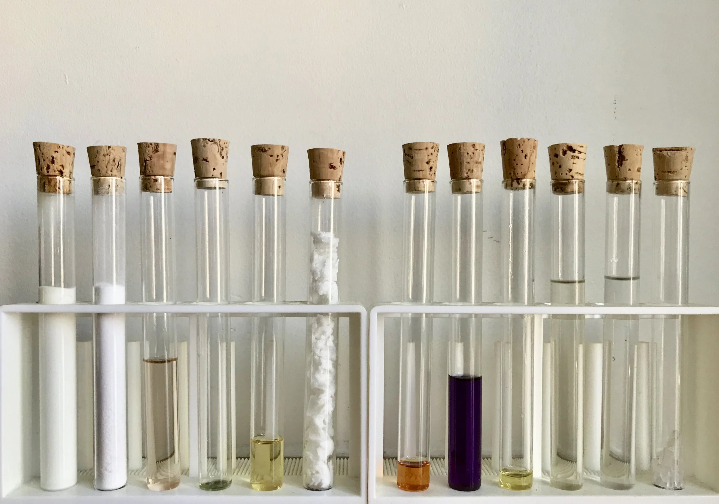 Scent Autobiography