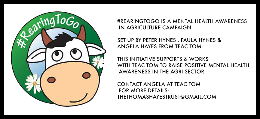 REaring-To-Go-explained-on-website.png