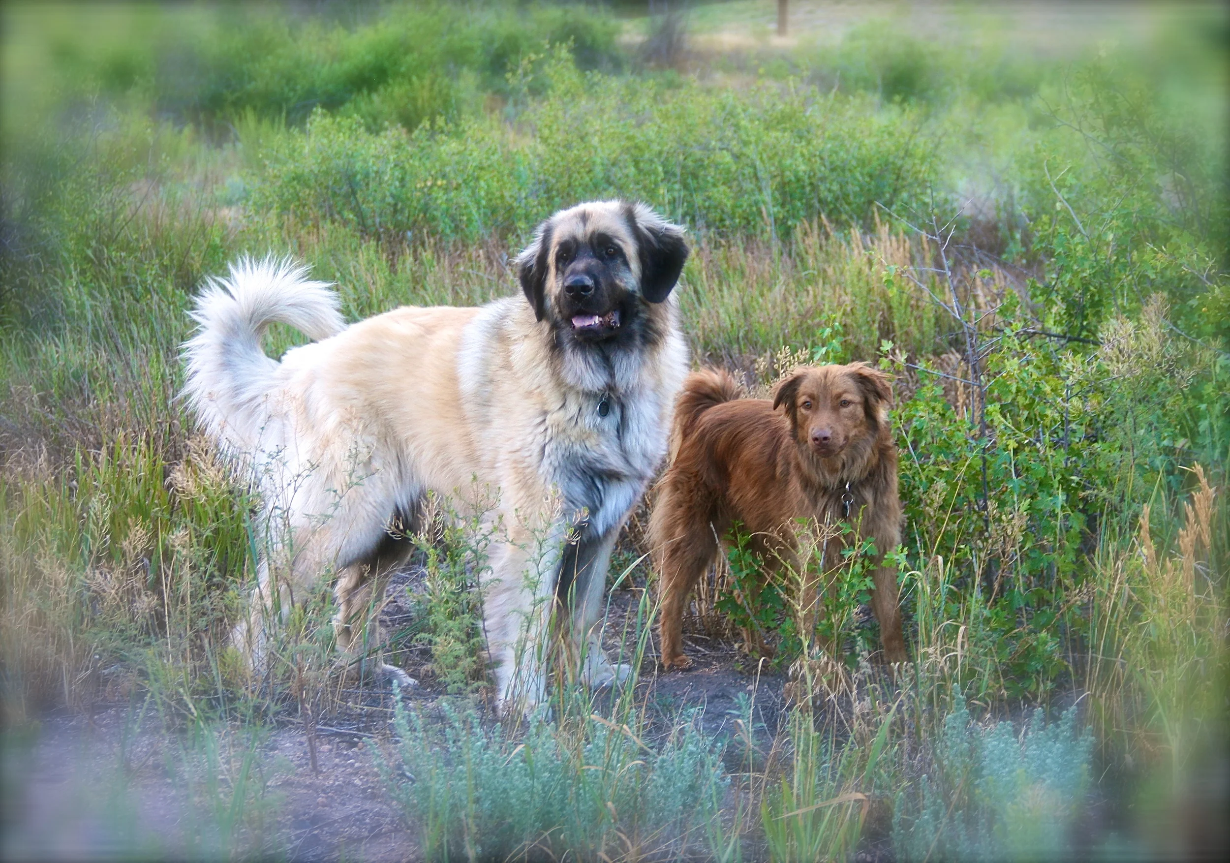 IMG_9076 - Version 4.JPG