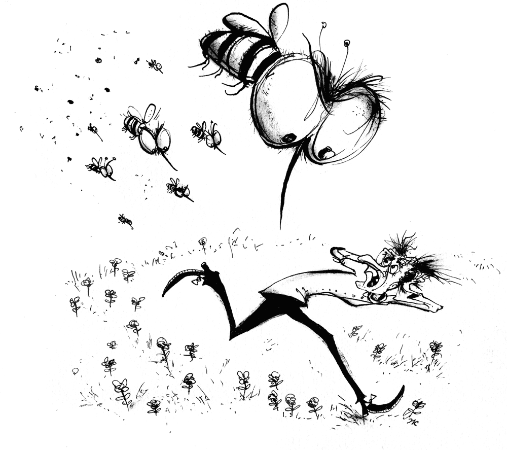limerick010111_scr.gif