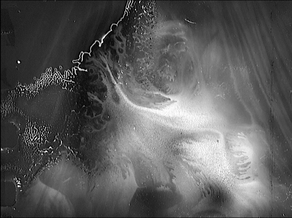 Cinepoetics - All Vows .jpg