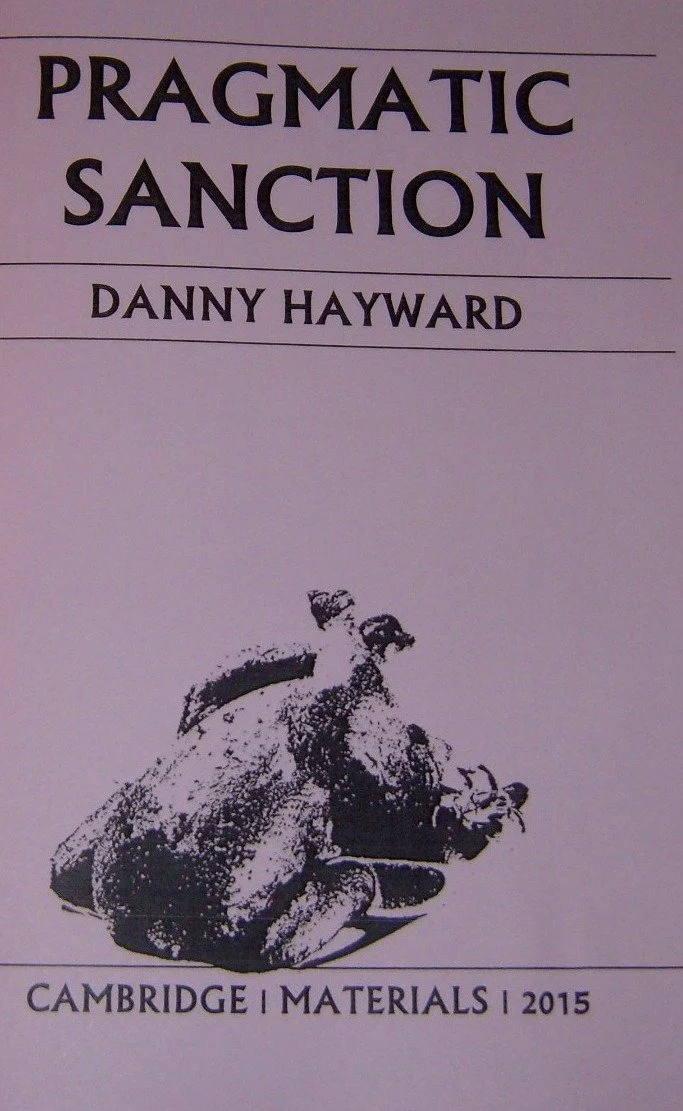 The cover of Pragmatic Sanction, by Danny Hayward