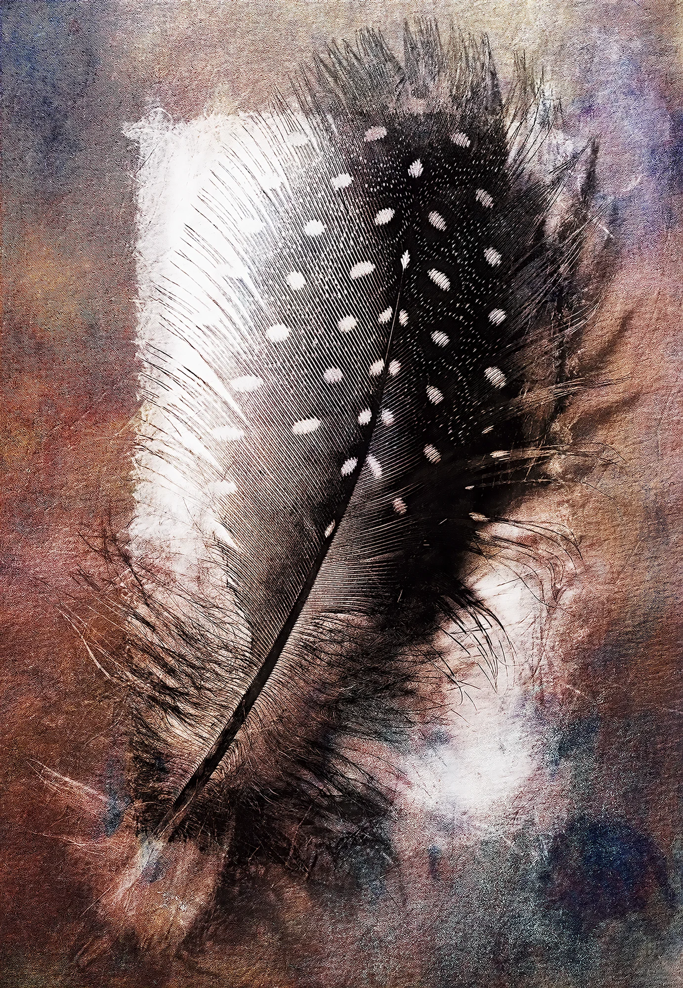 Feather